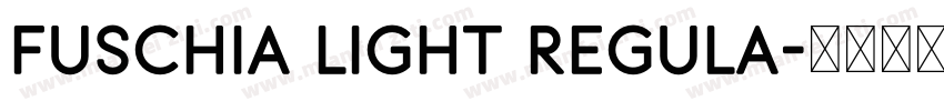 Fuschia Light Regula字体转换
